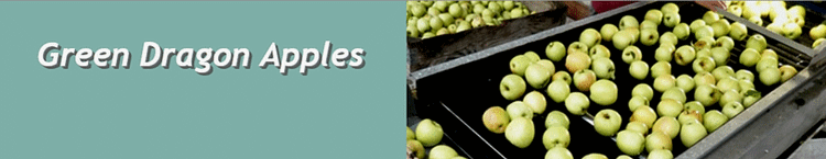 boxes of apples